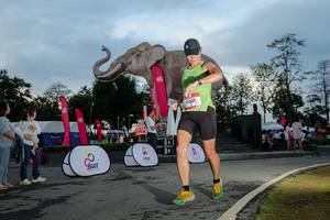 BIB: 
                            <button type="button" onclick="openModal(26529465)" class="btn btn-primary btn-sm float-right btn-popup" data-toggle="modal" data-target=".modal-high-quality">
                        <i class="fas fa-shopping-cart"></i> Add to Cart
                    </button>
                                            <button type="button" onclick="isThisMe(26529465, true)" class="btn btn-success btn-sm float-right btn-popup btn-isme hidden" data-toggle="tooltip" data-placement="bottom" title="นี่คือรูปของคุณใช่ไหม คลิกที่นี่เพื่อเอาเข้าอัลบั้ม">
                        <i class="fas fa-plus"></i> Add to album
                    </button>
                    <button type="button" onclick="isThisMe(26529465, false)" class="btn btn-warning btn-sm float-right btn-popup btn-isnotme hidden">
                        <i class="fas fa-ban"></i> Remove from album
                    </button>